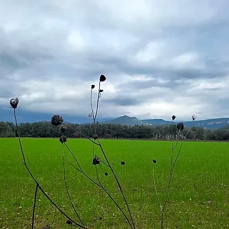 Pasteral Riu Ter 호텔